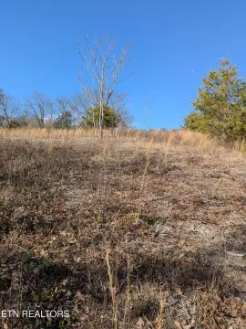 Cleared Homesite with Lake Views