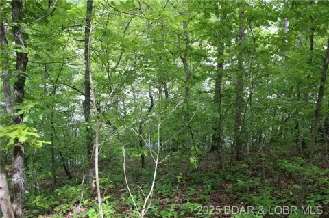 Lakefront Lot with Natural Views