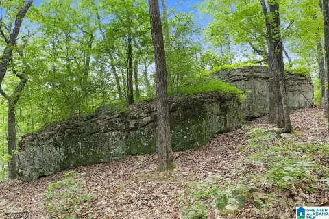 Land in Blount County