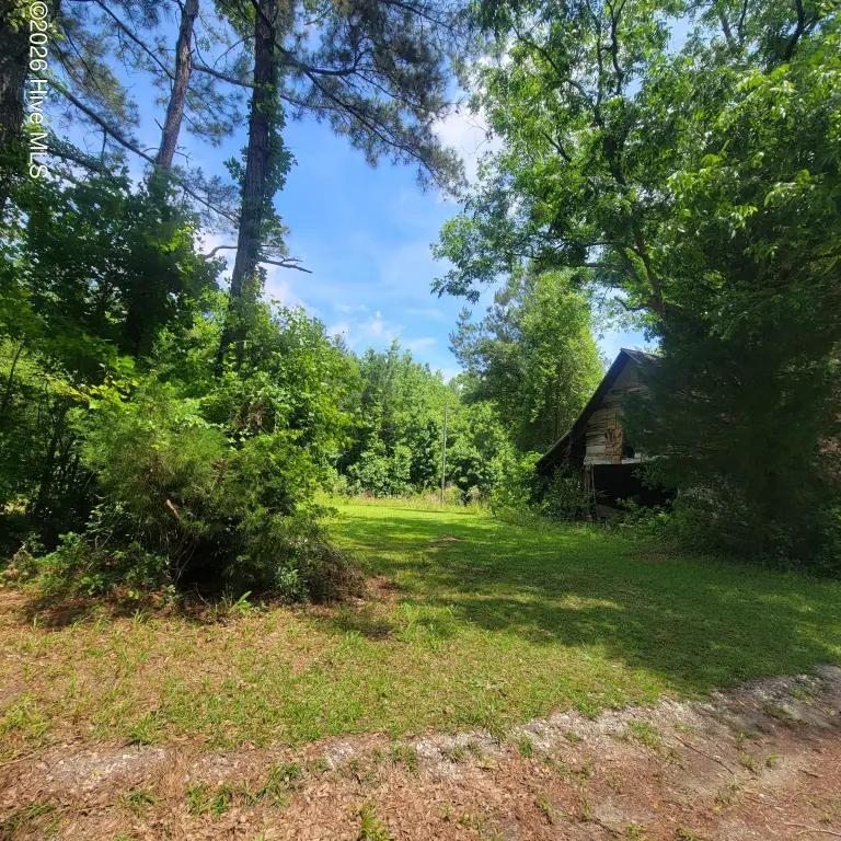 Picture 2