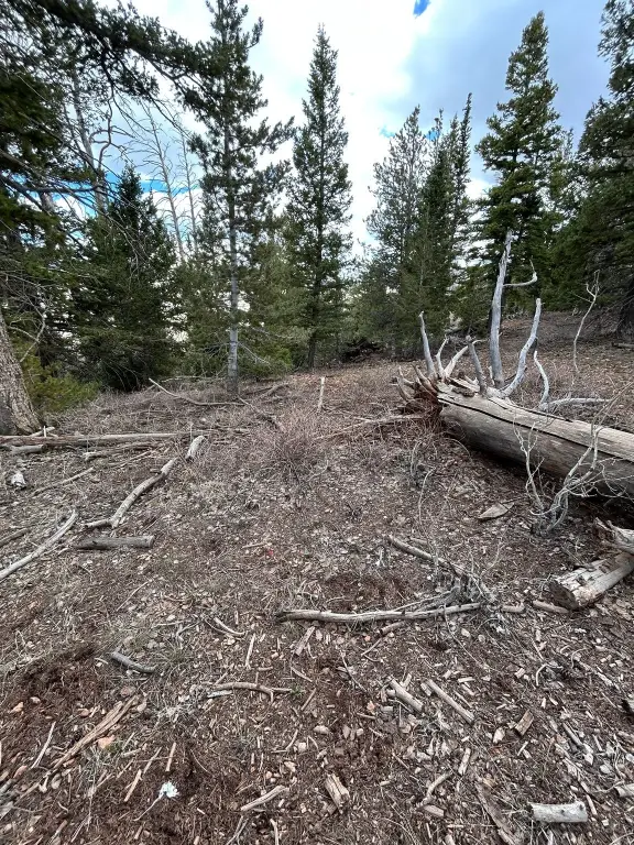 Picture 2