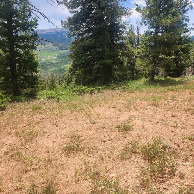 Picture 6