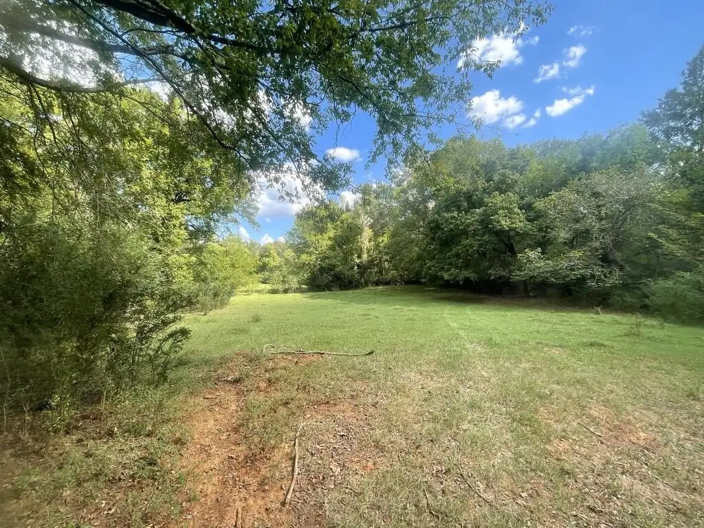 Picture 8