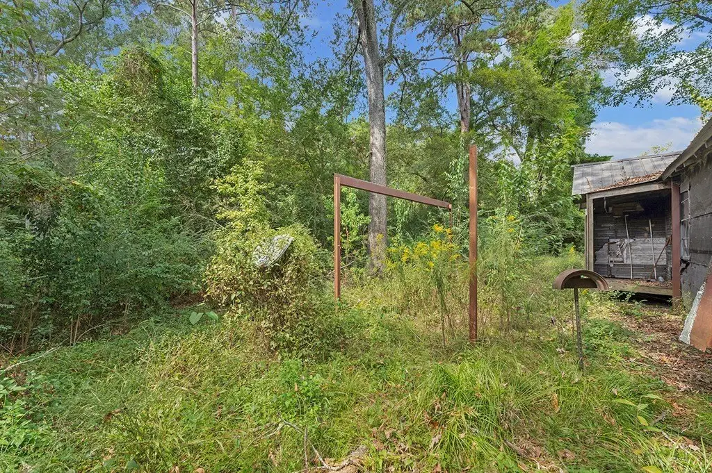 Picture 15