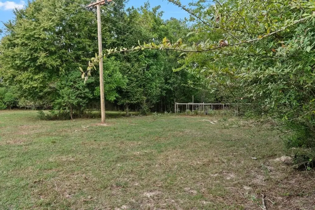 Picture 16