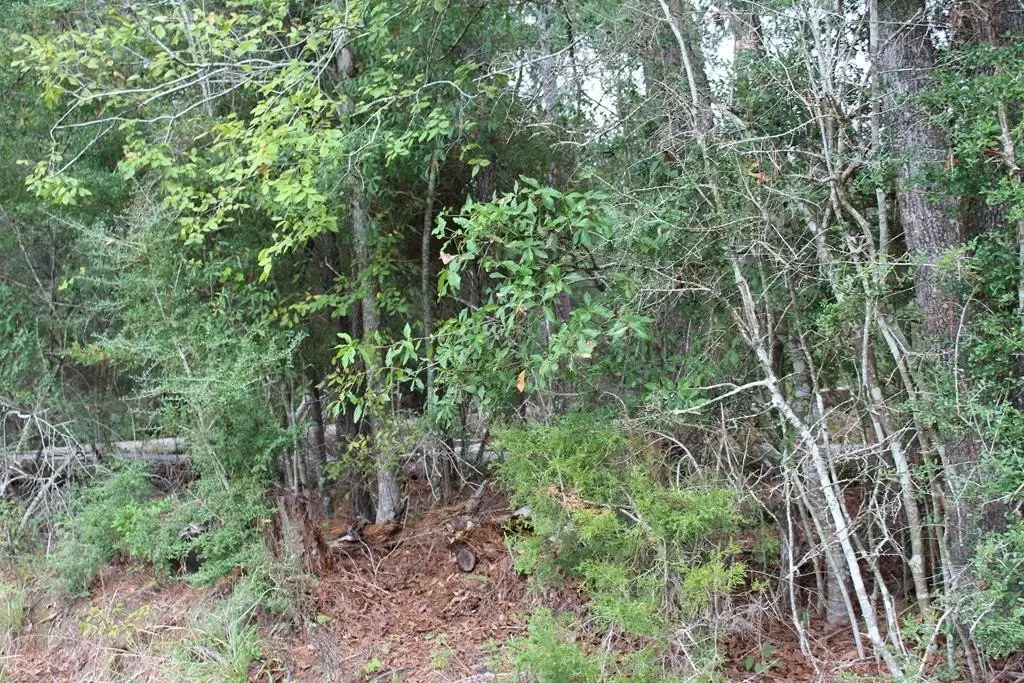 Picture 3