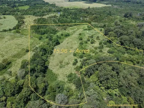 Pasture and Tree-Covered Land