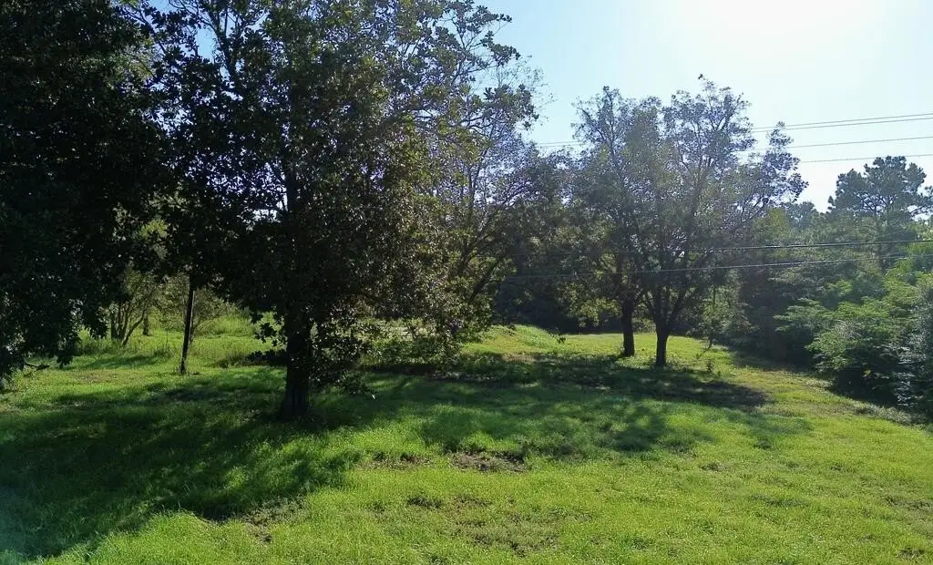 Picture 3