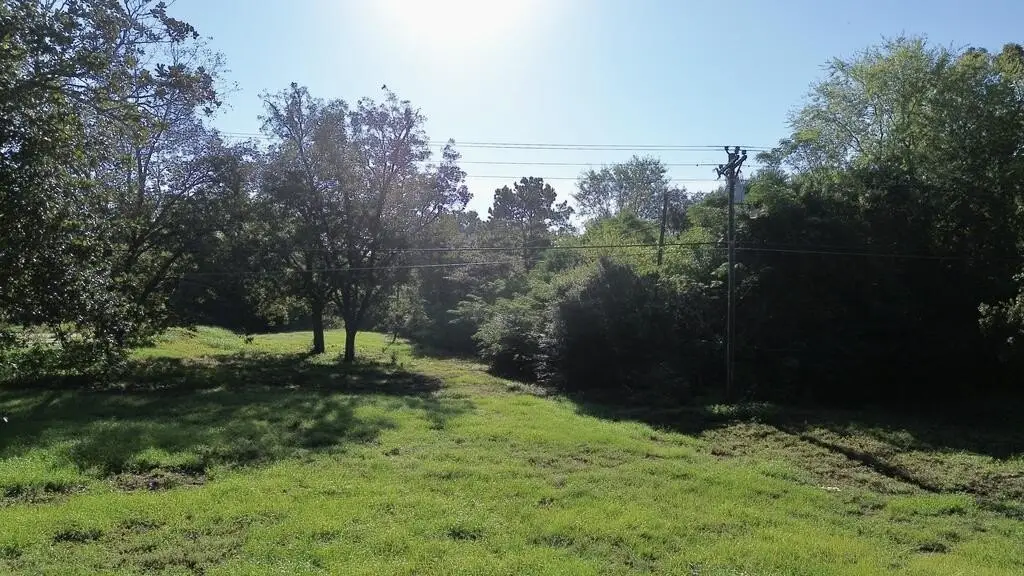 Picture 16