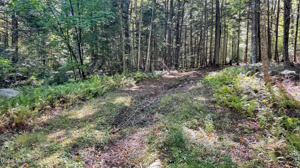 Picture 15