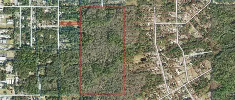 Wooded Land in Homosassa, FL