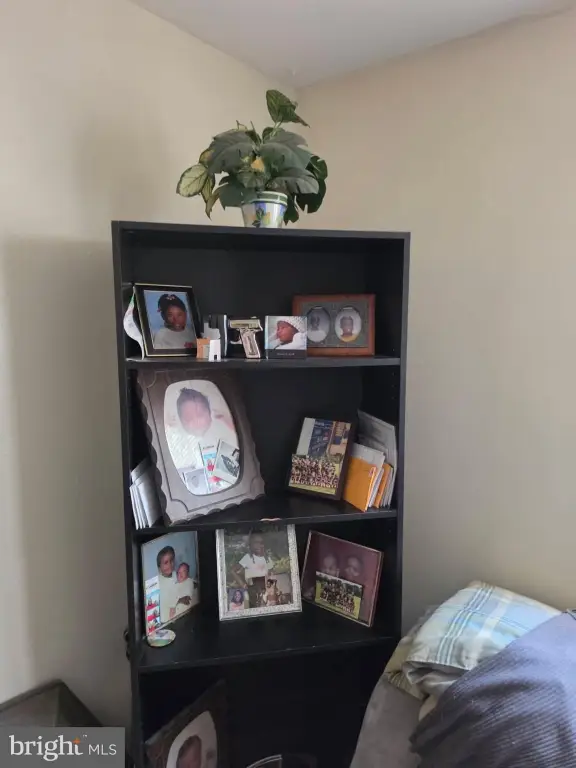 Picture 23