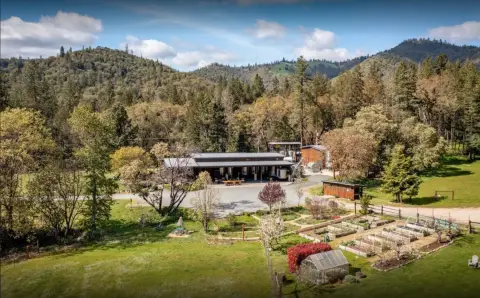 Turnkey Vineyard, Winery, and Creamery