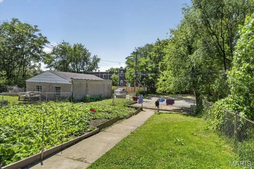 Picture 23