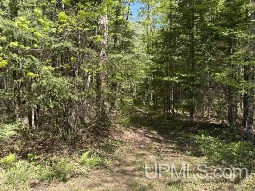 Picture 8