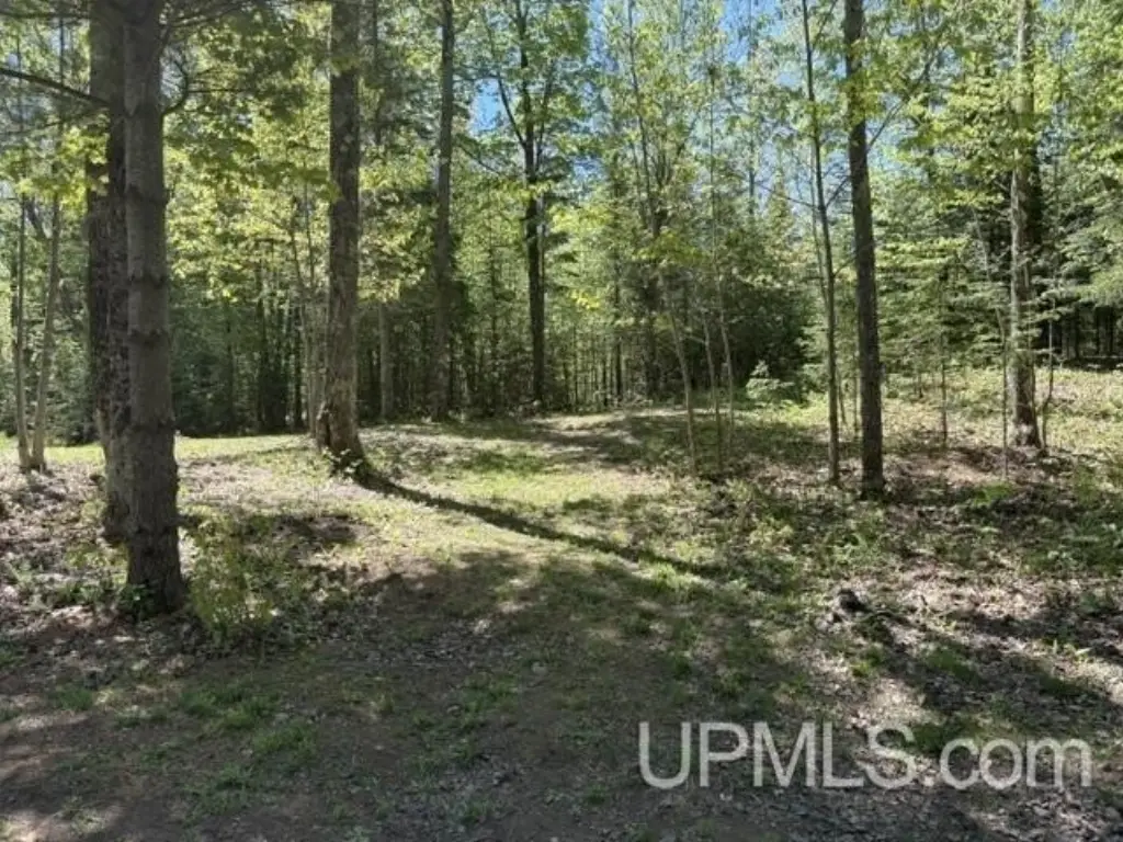 Picture 6