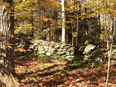 Recreation and Hunting Land