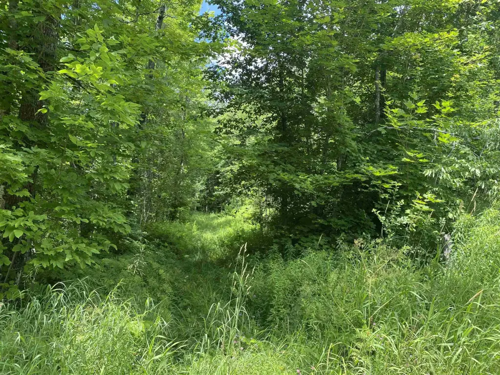 Picture 18