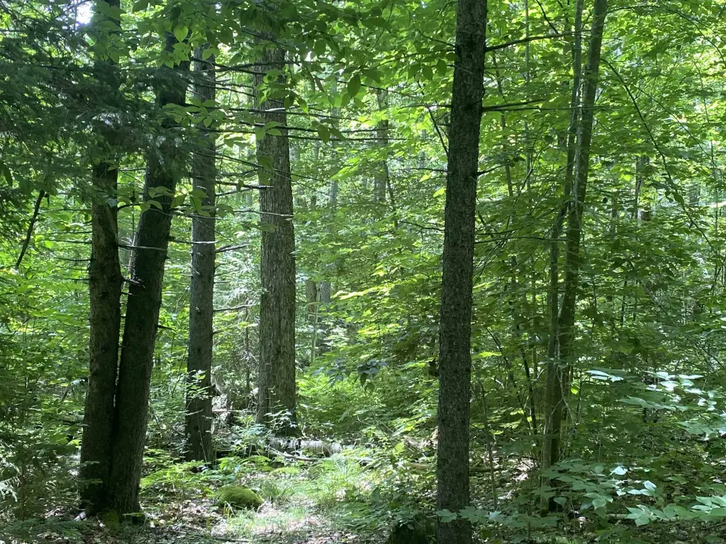 Picture 12