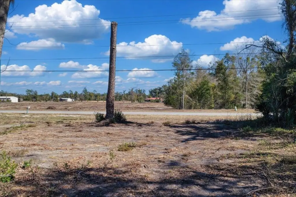 Picture 20
