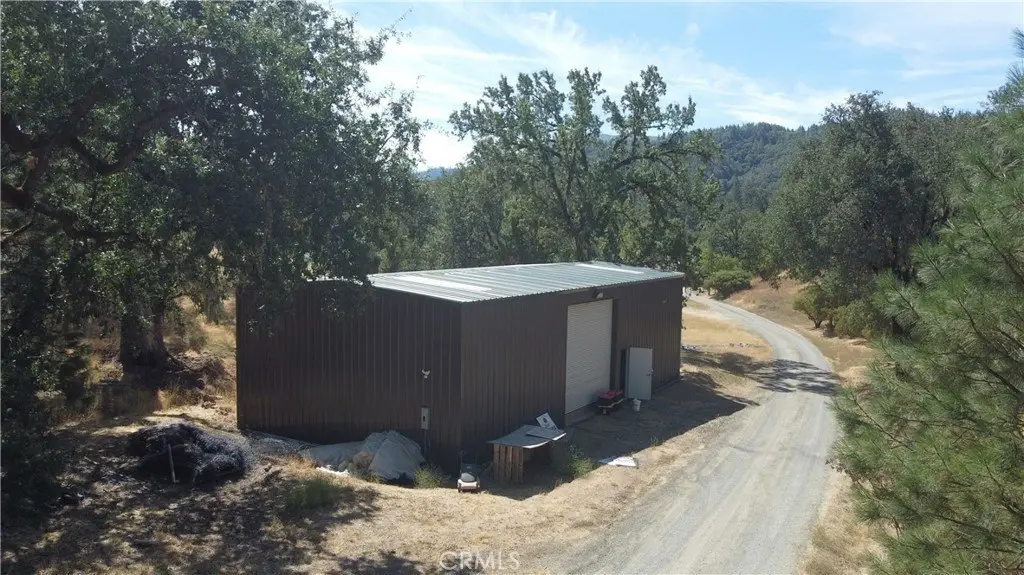 Picture 15