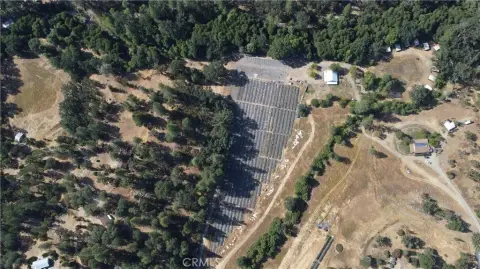 Licensed Cannabis Farm and Camp