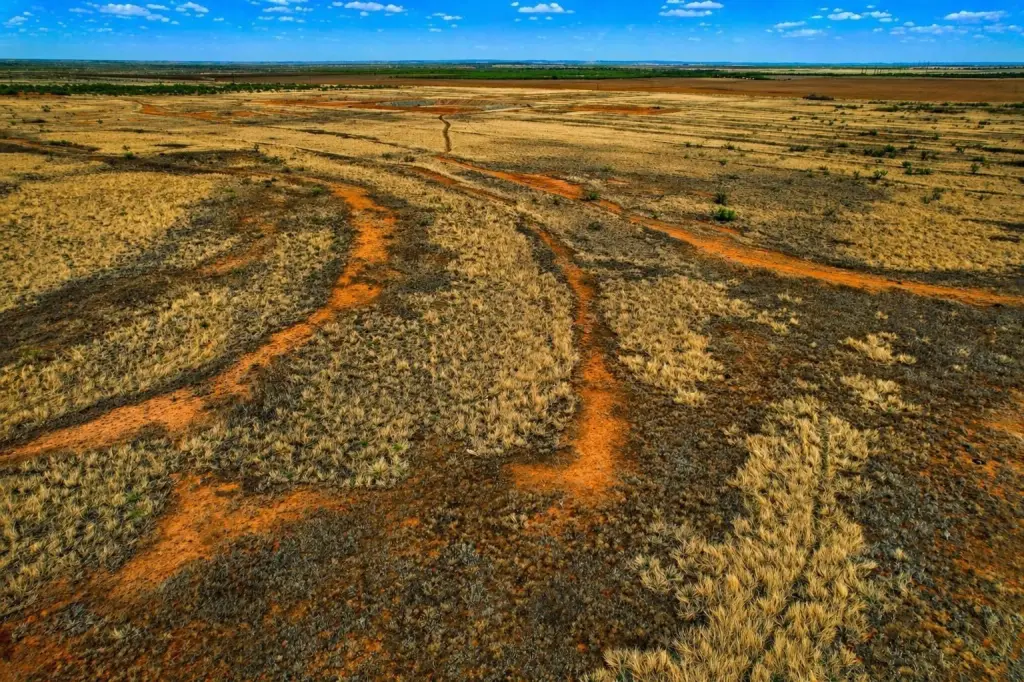 Picture 20