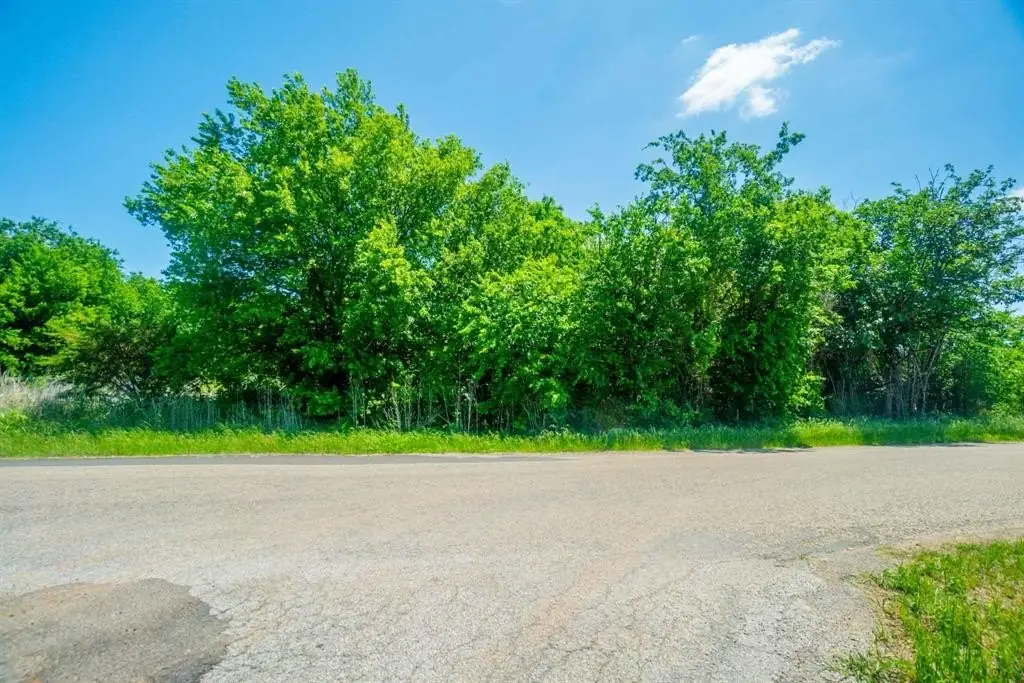 Picture 6