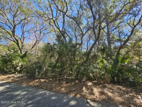 Bald Head Island Homesite
