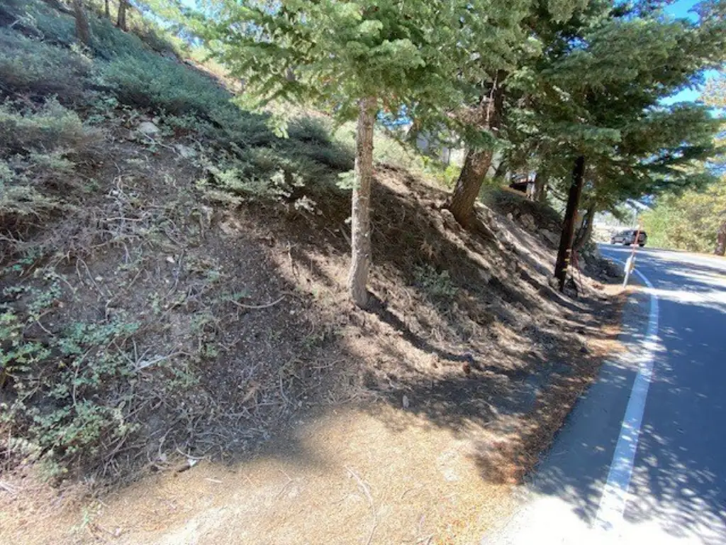 Picture 11