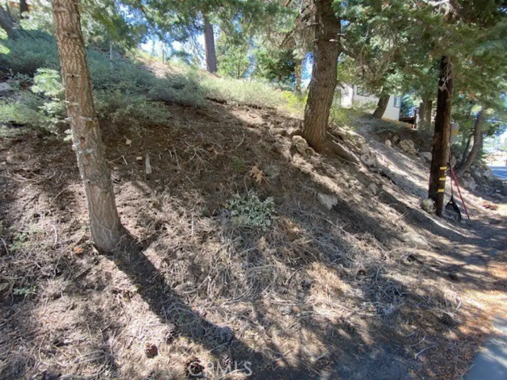 Picture 10