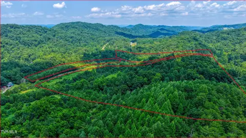 Undeveloped Land Tract