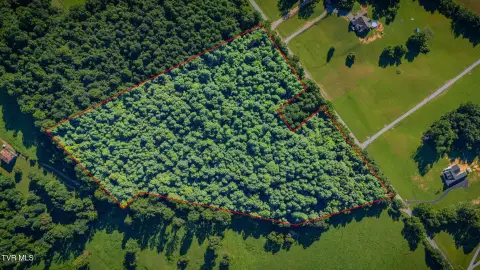 Wooded Farmland Parcel with Water Access