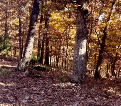 Wooded Lot Near Lake Avalon