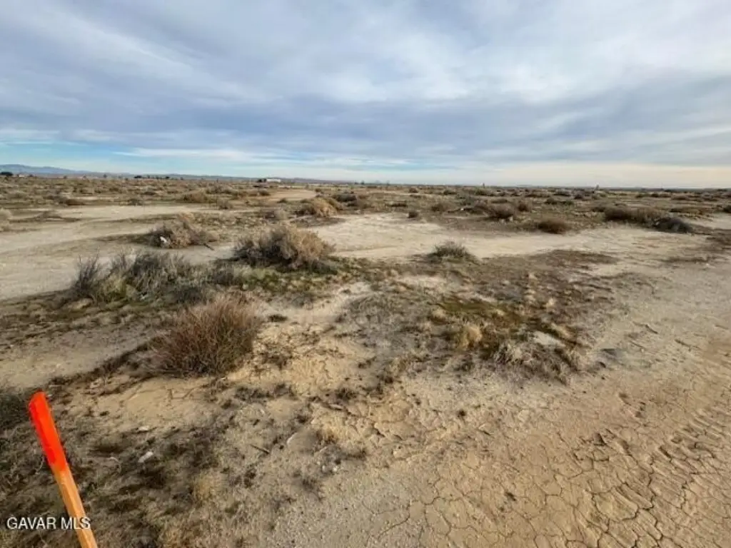 Picture 6