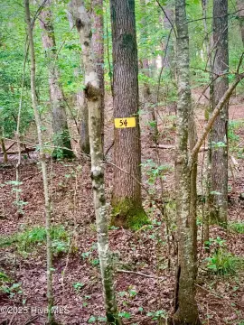 Equestrian Village Lot with Water Views