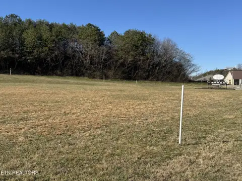 Tellico Plains Acreage For Sale