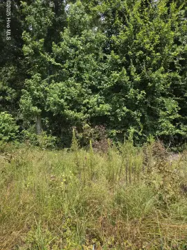 Residential Land in Established Subdivision