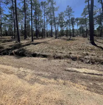 Residential Land Near Sam Rayburn