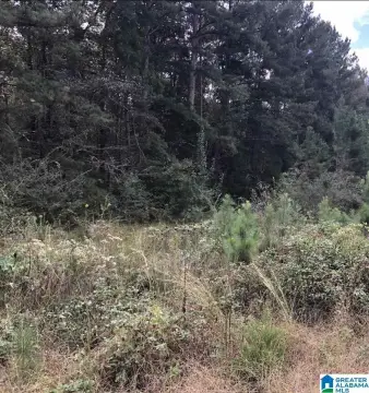 Residential Land in Lincoln, Alabama