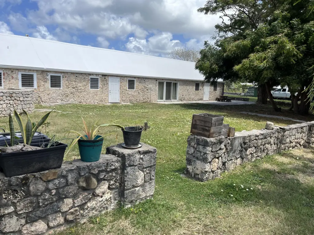 Picture 20