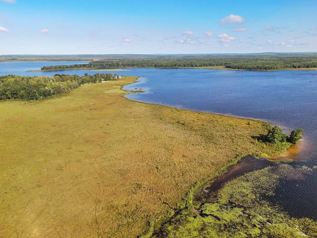 Picture 3