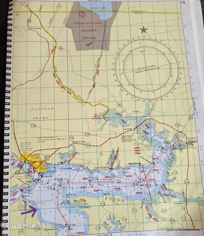 Picture 15