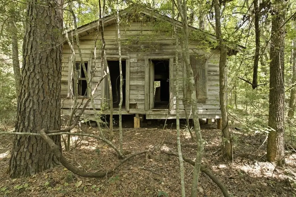 Picture 6