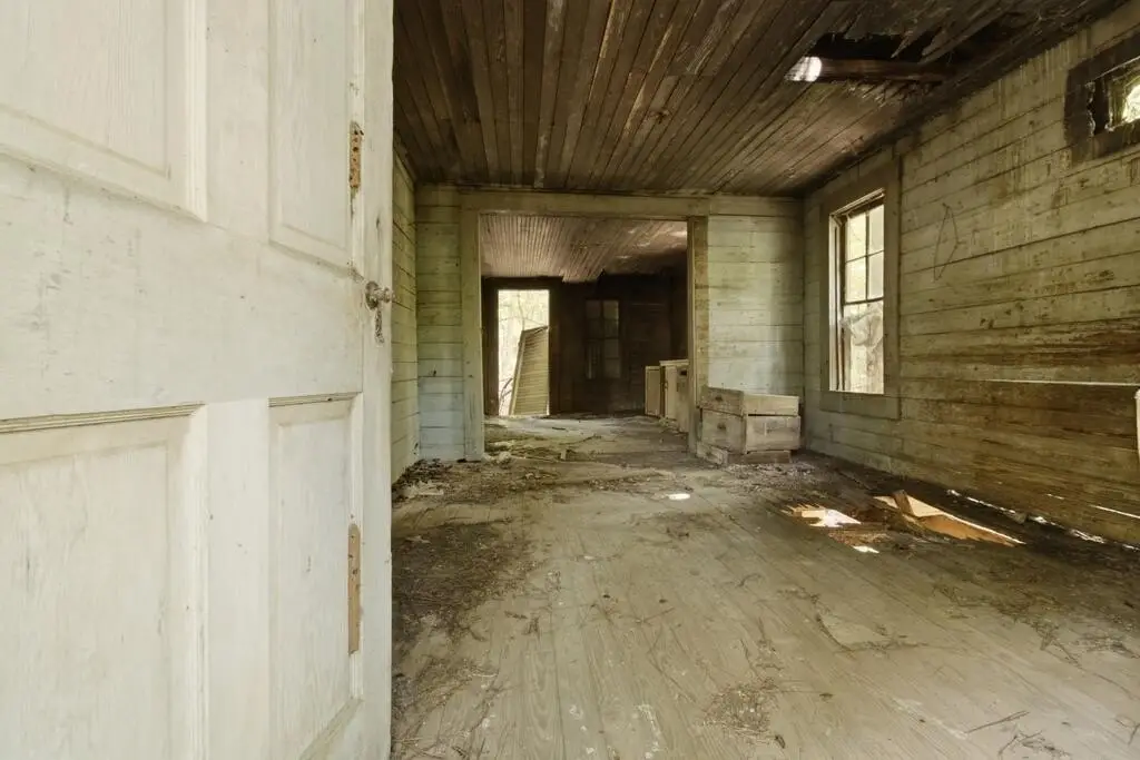 Picture 7