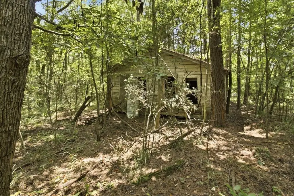 Picture 10