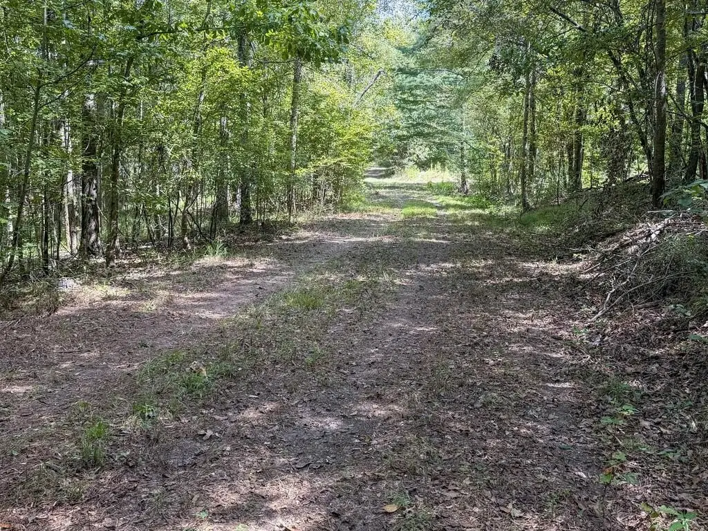 Picture 40