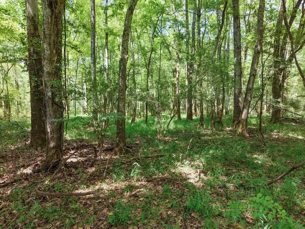 Picture 38