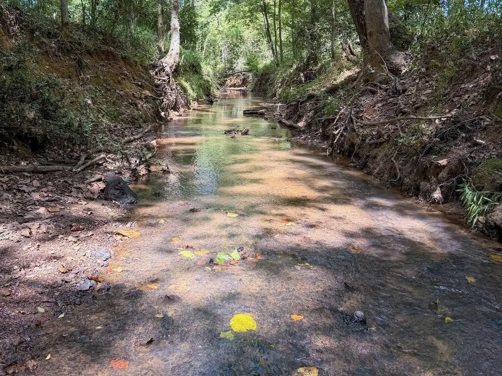 Picture 30