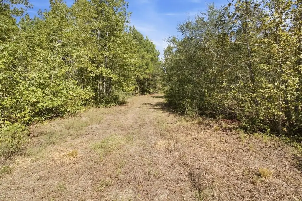 Picture 17